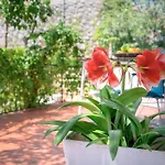 Seaview Apt. With Private Terrace Appartement *