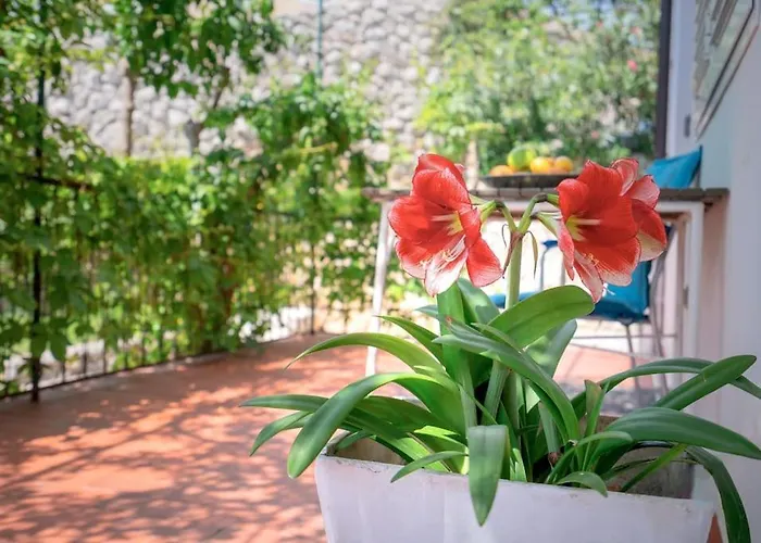 Seaview Apt. With Private Terrace Apartamento *