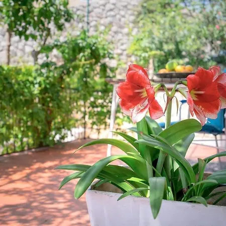 Seaview Apt. With Private Terrace Appartement *